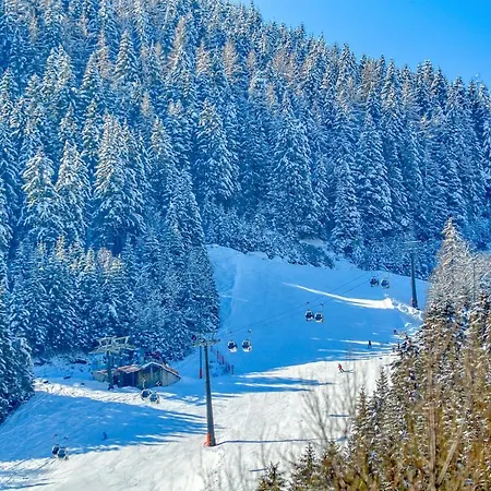 Daire Snowmountain - By Alpen Zell am See