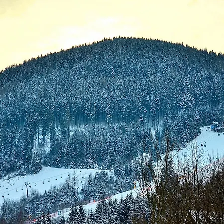 Snowmountain - By Alpen Apartment Zell am See